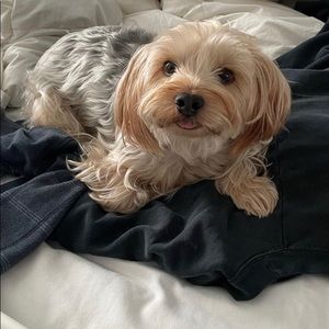 Meet your Posher, Grady